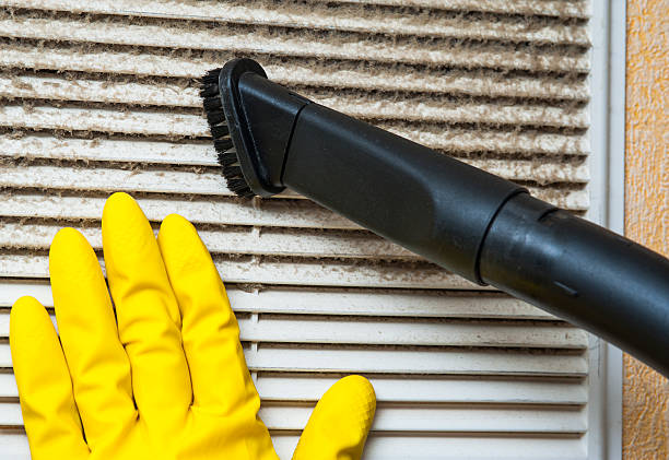 Best Professional Duct Cleaning Services  in Mangum, OK